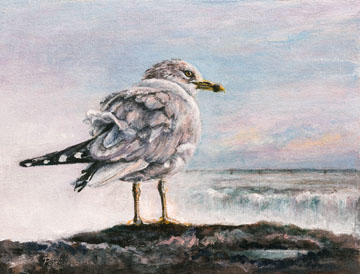 Niagara Falls Sentinel